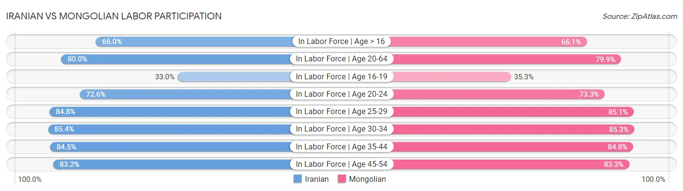 Iranian vs Mongolian Labor Participation