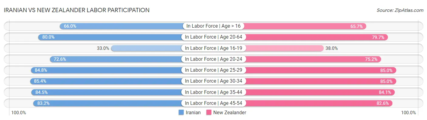 Iranian vs New Zealander Labor Participation