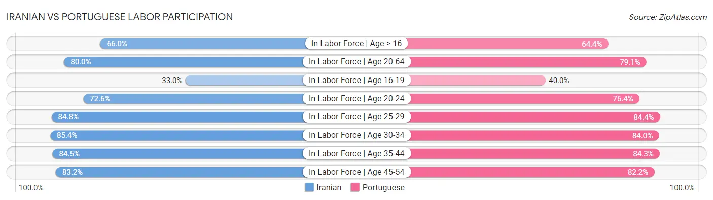 Iranian vs Portuguese Labor Participation