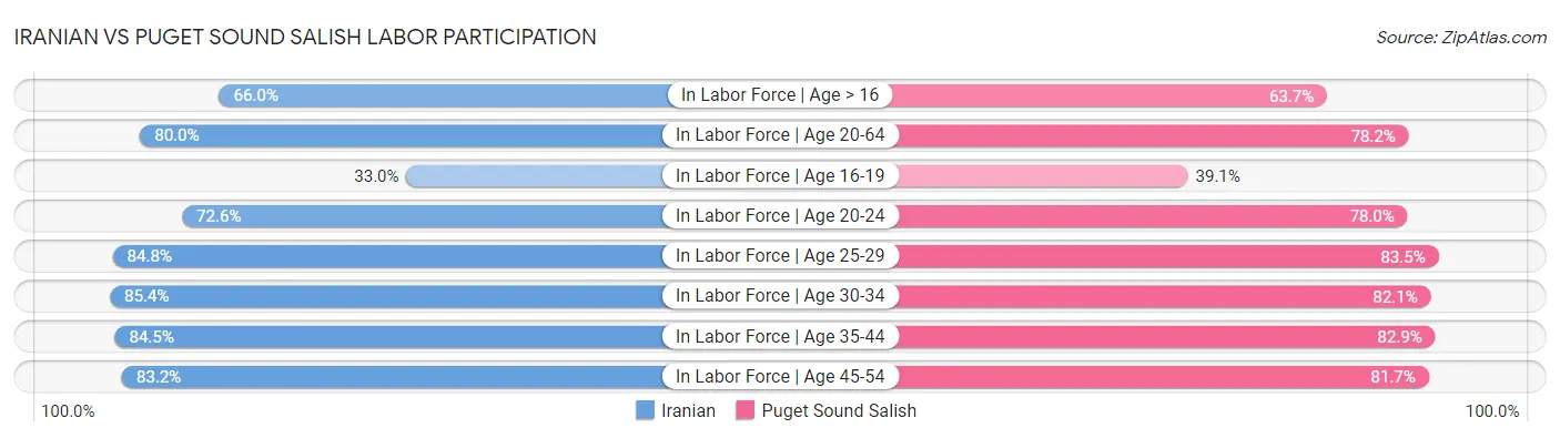 Iranian vs Puget Sound Salish Labor Participation