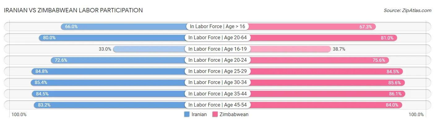 Iranian vs Zimbabwean Labor Participation