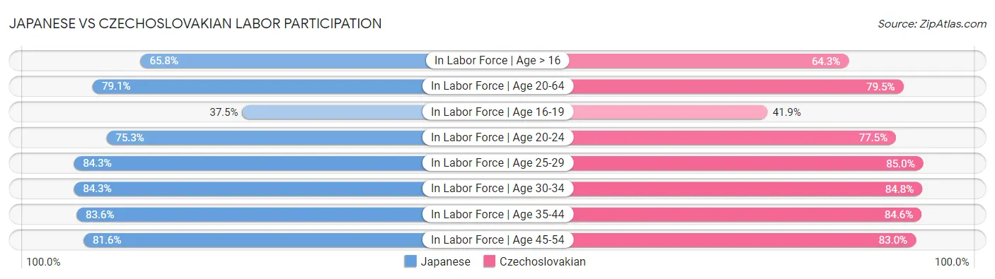 Japanese vs Czechoslovakian Labor Participation