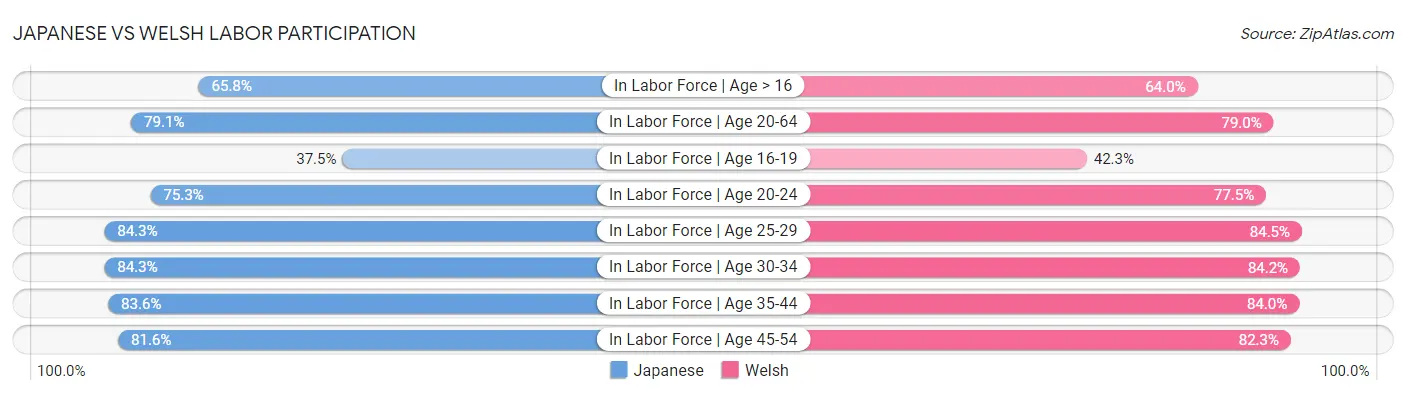 Japanese vs Welsh Labor Participation