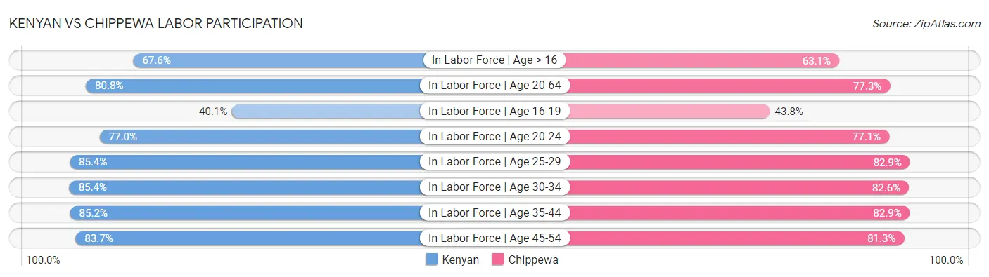 Kenyan vs Chippewa Labor Participation