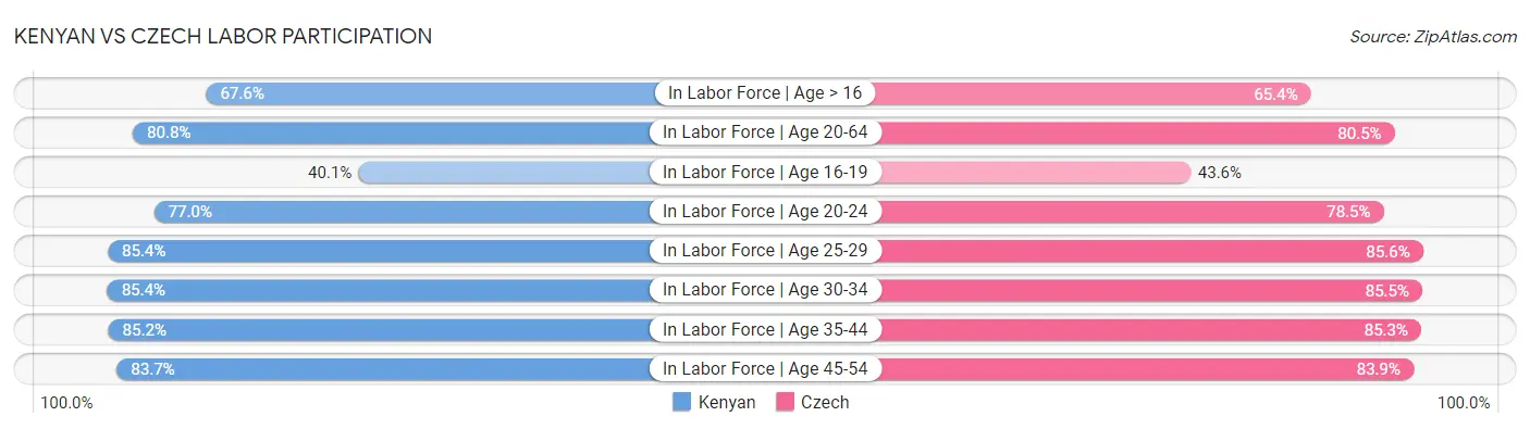 Kenyan vs Czech Labor Participation