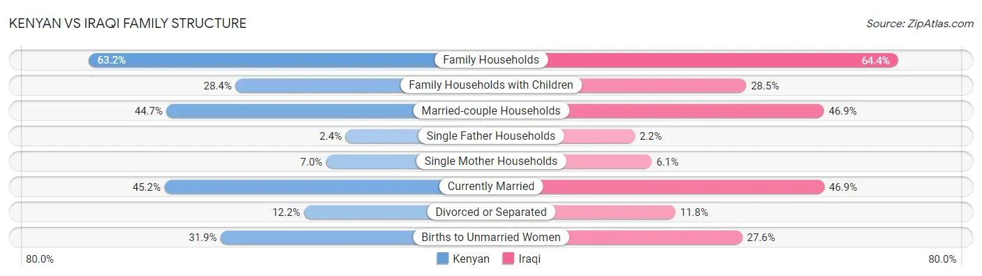 Kenyan vs Iraqi Family Structure