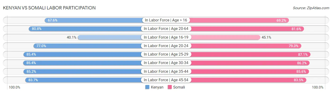 Kenyan vs Somali Labor Participation