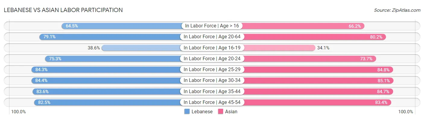 Lebanese vs Asian Labor Participation