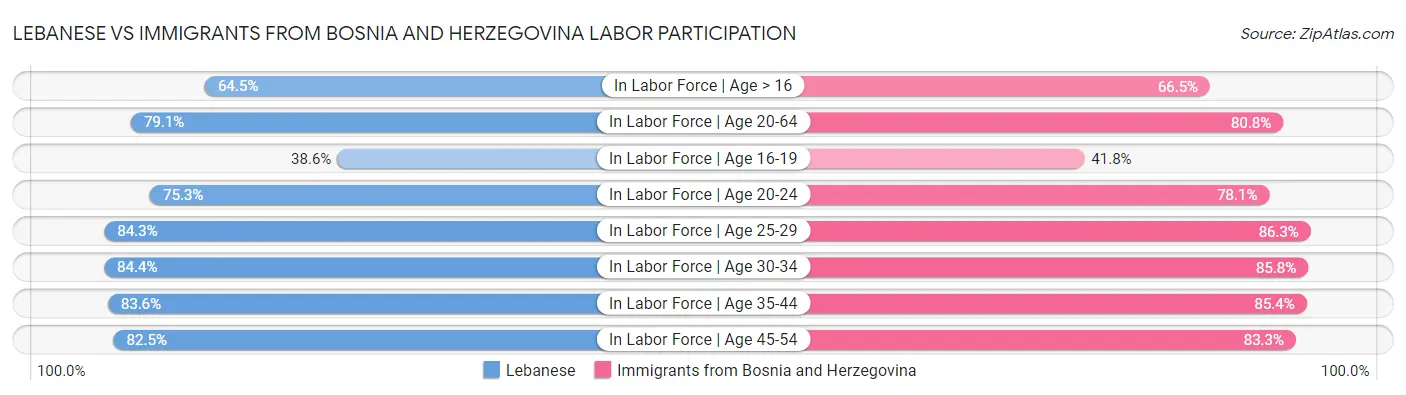 Lebanese vs Immigrants from Bosnia and Herzegovina Labor Participation