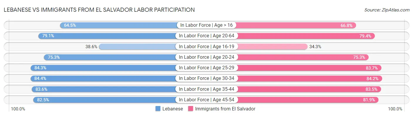 Lebanese vs Immigrants from El Salvador Labor Participation