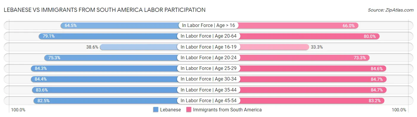 Lebanese vs Immigrants from South America Labor Participation