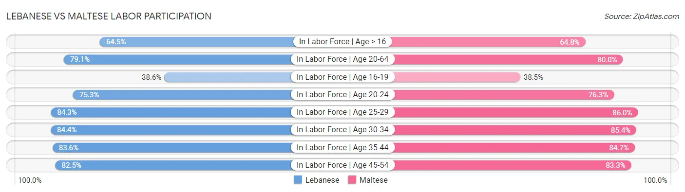 Lebanese vs Maltese Labor Participation