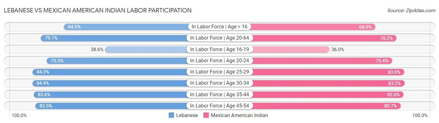 Lebanese vs Mexican American Indian Labor Participation