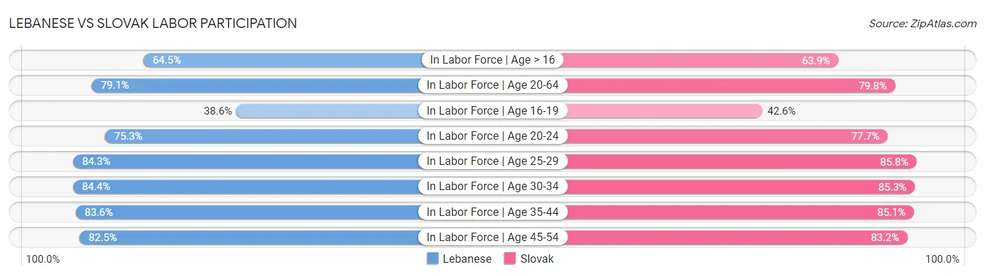 Lebanese vs Slovak Labor Participation