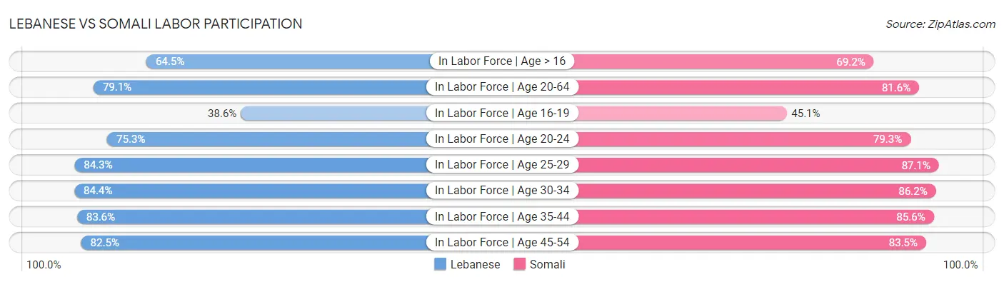 Lebanese vs Somali Labor Participation