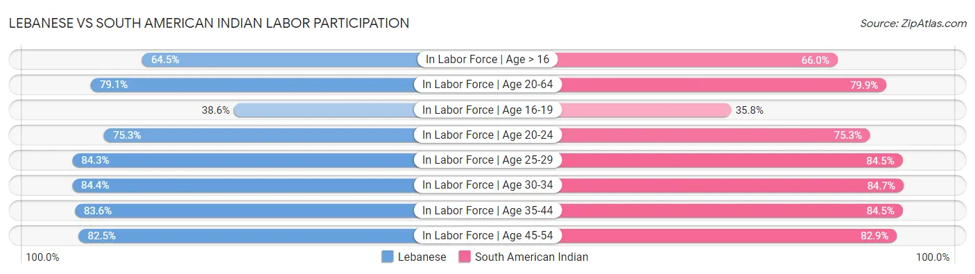 Lebanese vs South American Indian Labor Participation