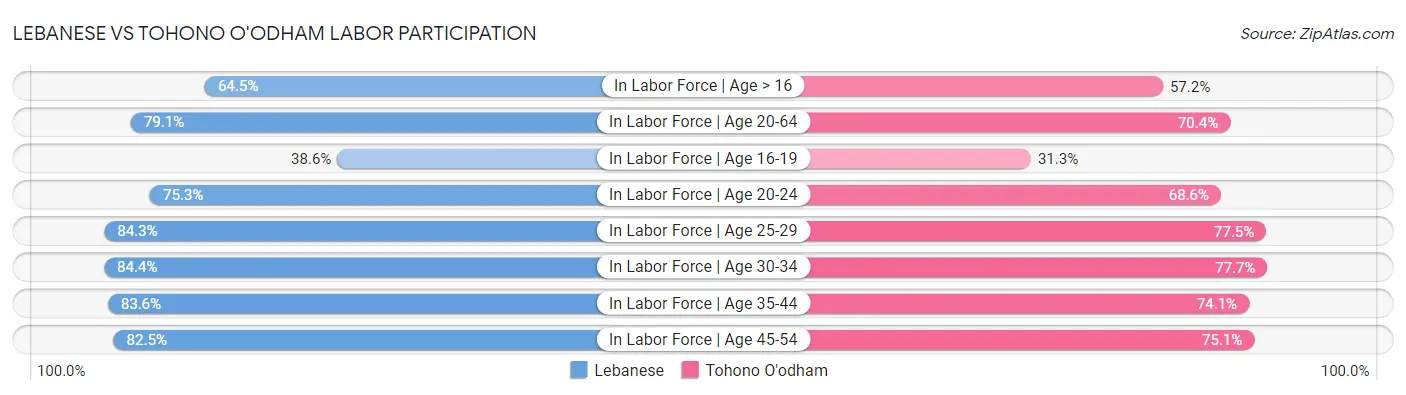 Lebanese vs Tohono O'odham Labor Participation