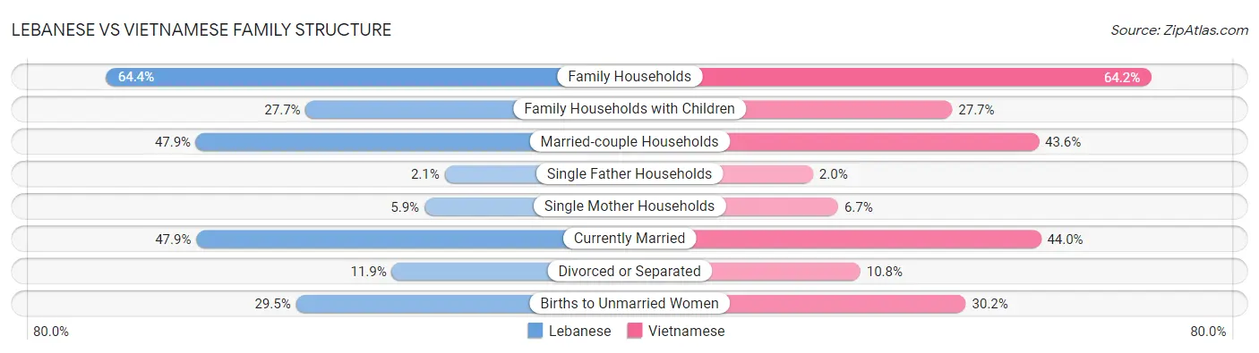 Lebanese vs Vietnamese Family Structure