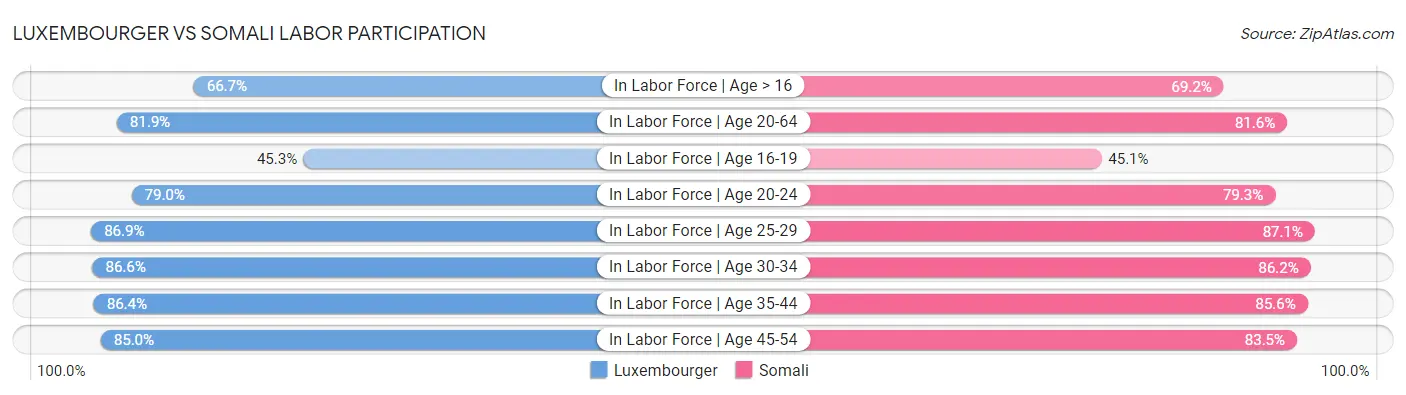 Luxembourger vs Somali Labor Participation