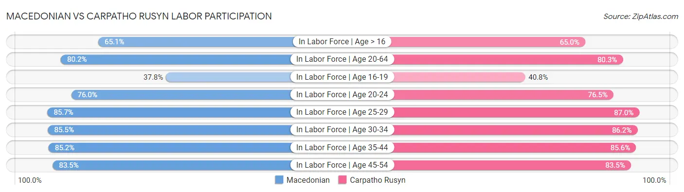 Macedonian vs Carpatho Rusyn Labor Participation