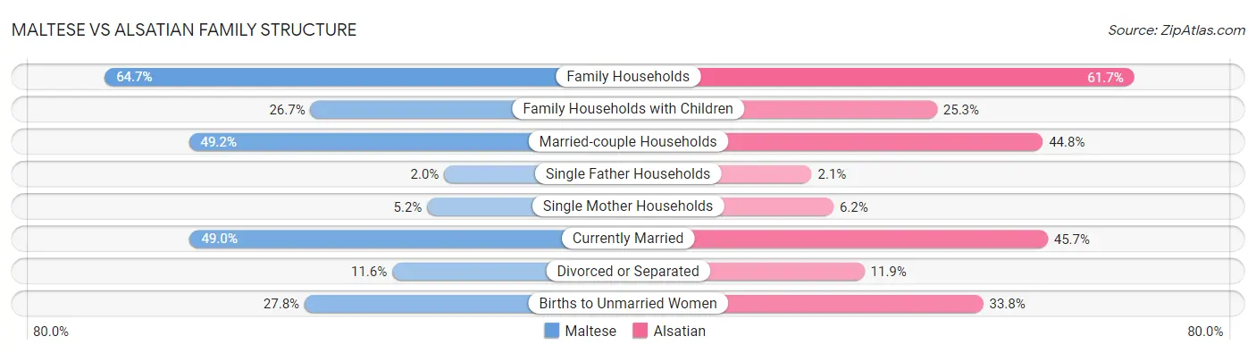 Maltese vs Alsatian Family Structure