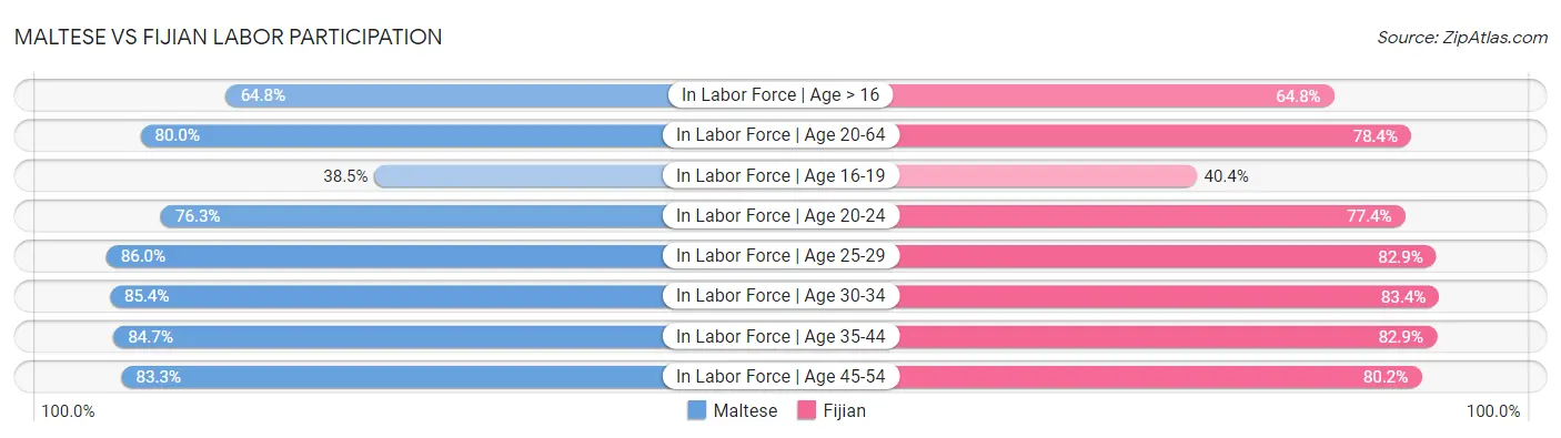 Maltese vs Fijian Labor Participation