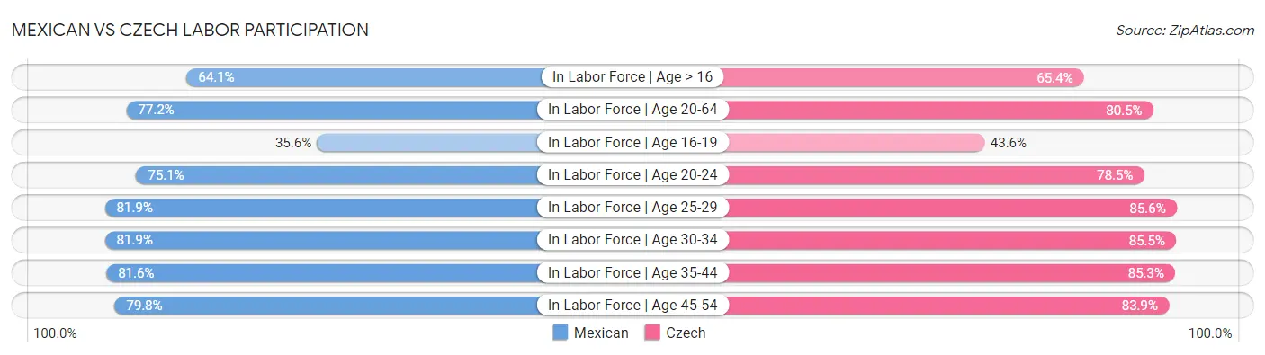 Mexican vs Czech Labor Participation