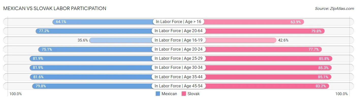 Mexican vs Slovak Labor Participation