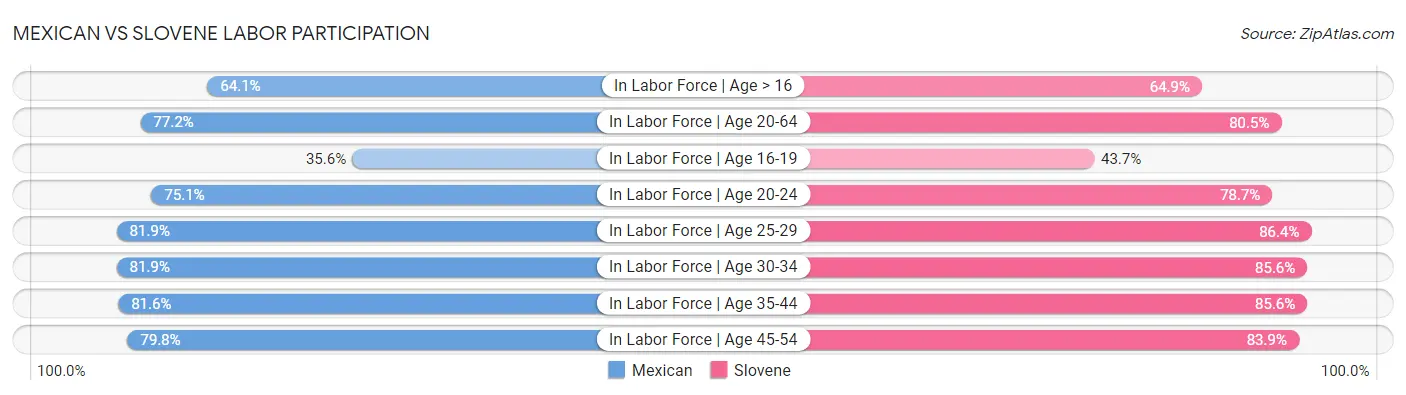 Mexican vs Slovene Labor Participation