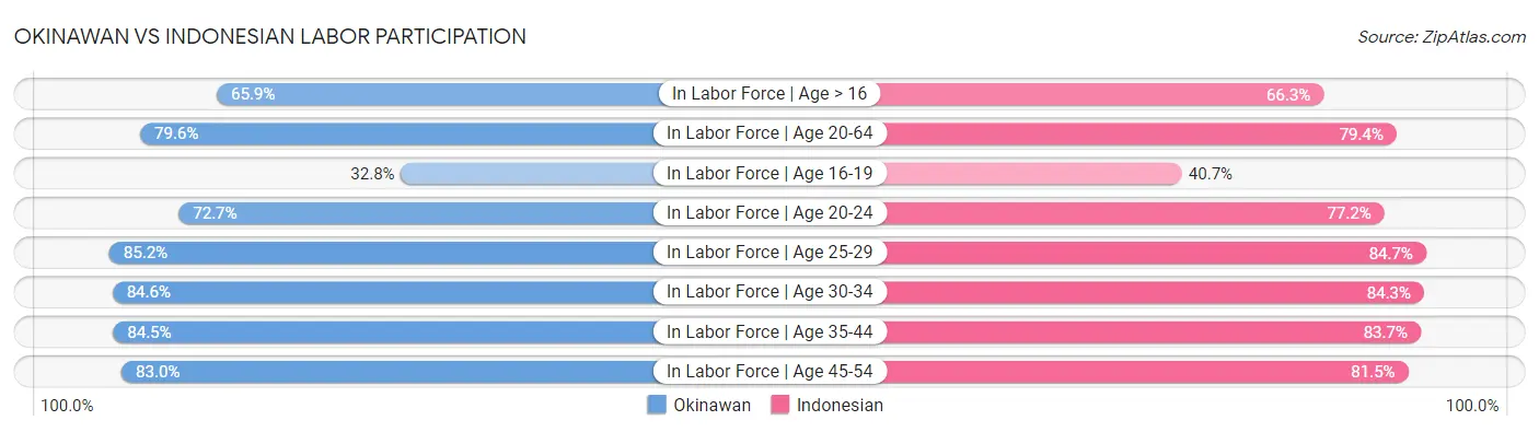 Okinawan vs Indonesian Labor Participation