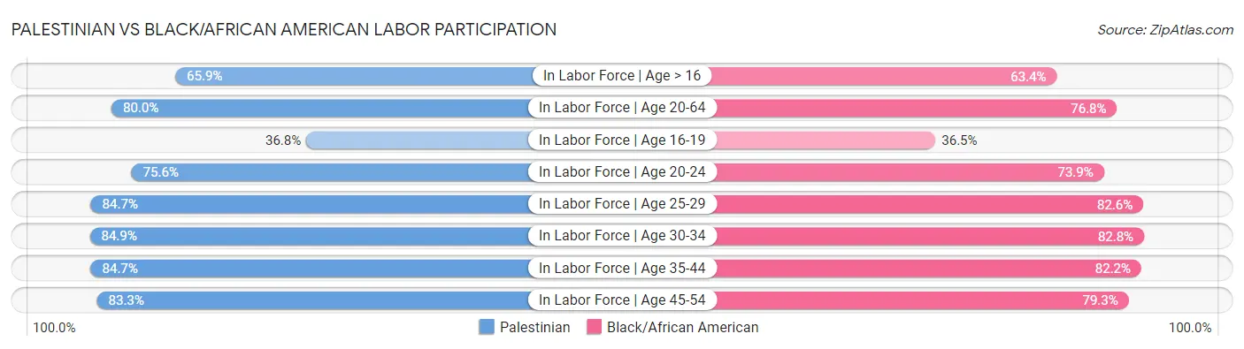 Palestinian vs Black/African American Labor Participation