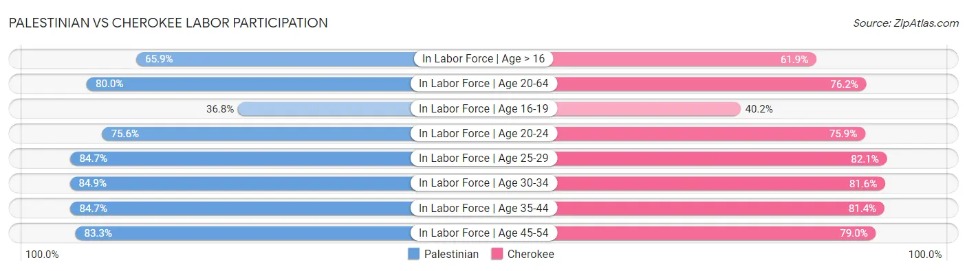 Palestinian vs Cherokee Labor Participation