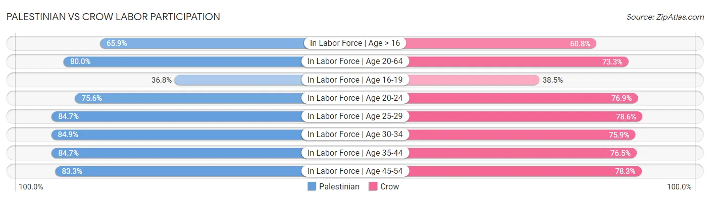 Palestinian vs Crow Labor Participation