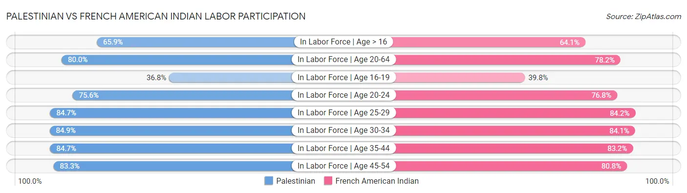 Palestinian vs French American Indian Labor Participation