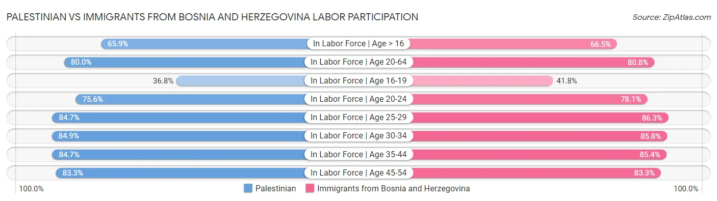 Palestinian vs Immigrants from Bosnia and Herzegovina Labor Participation