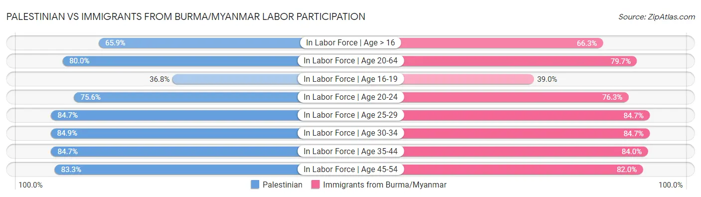 Palestinian vs Immigrants from Burma/Myanmar Labor Participation