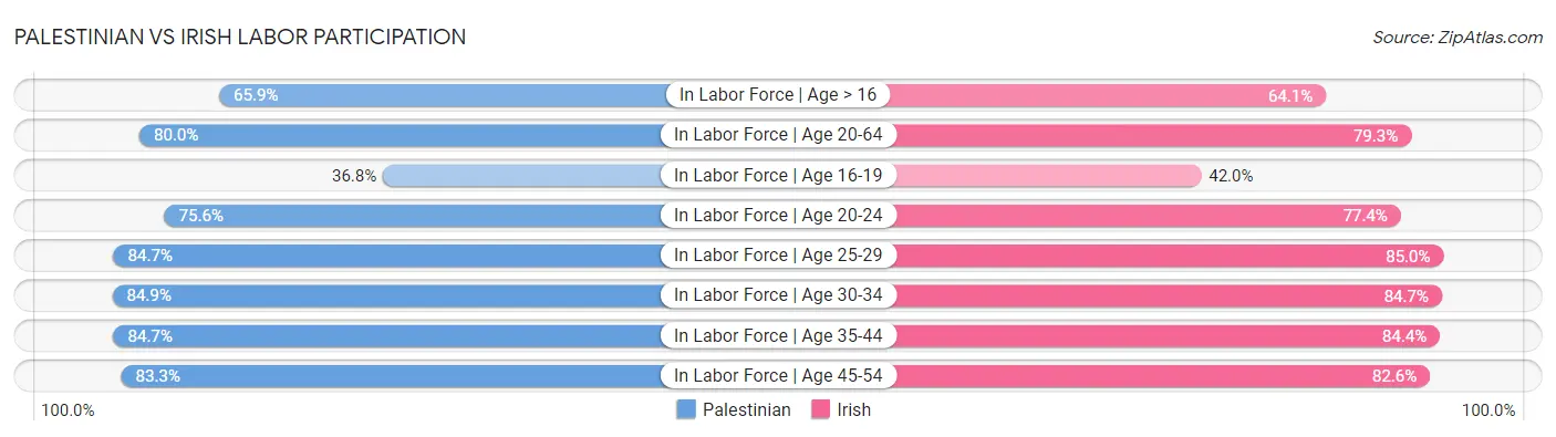 Palestinian vs Irish Labor Participation