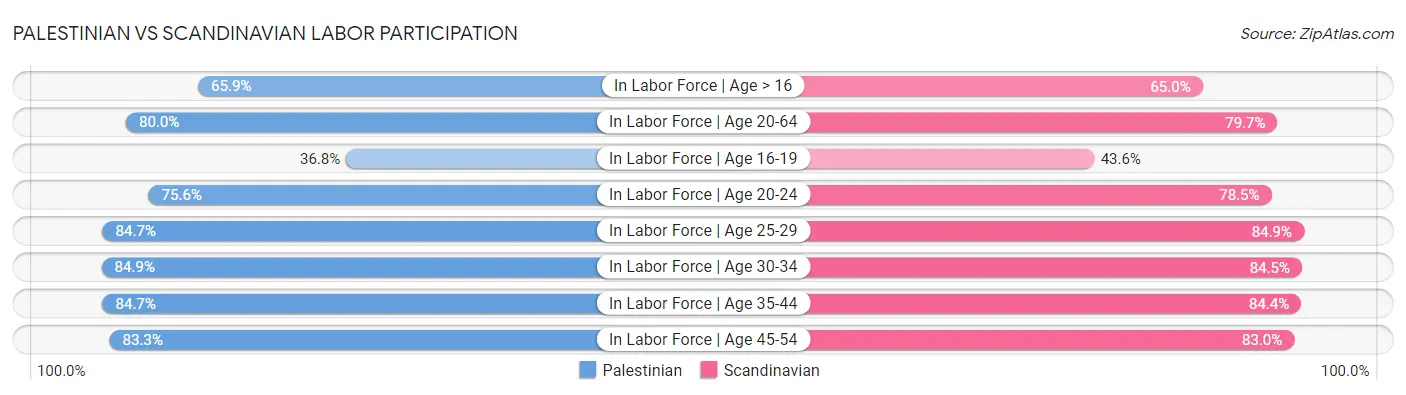 Palestinian vs Scandinavian Labor Participation