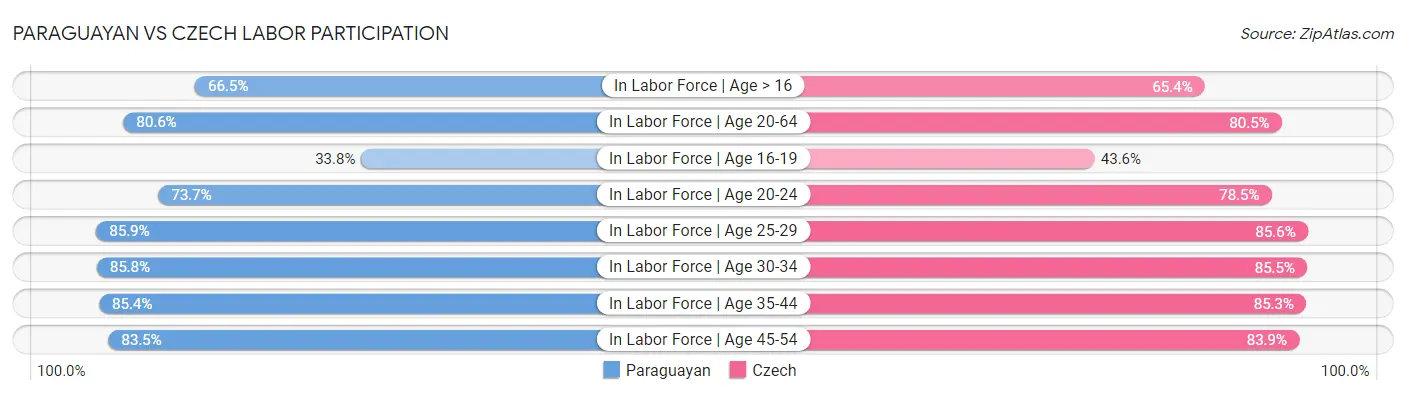 Paraguayan vs Czech Labor Participation