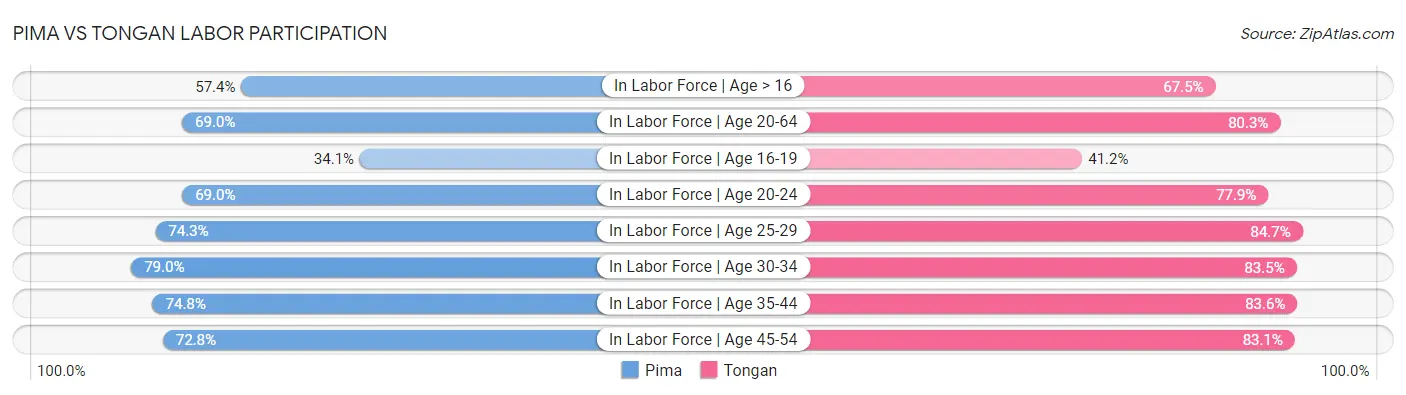 Pima vs Tongan Labor Participation