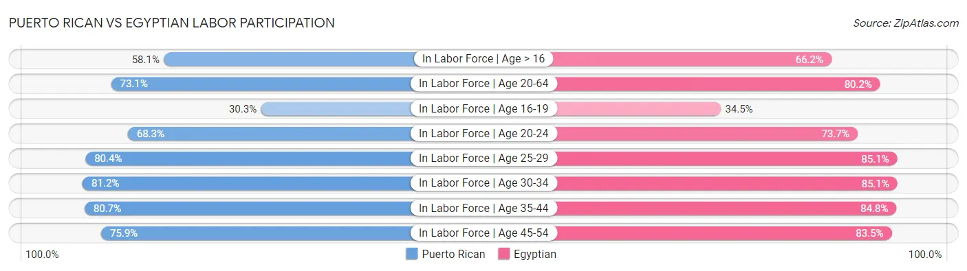 Puerto Rican vs Egyptian Labor Participation