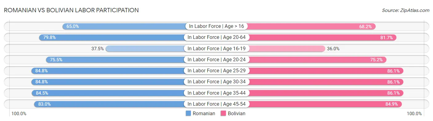 Romanian vs Bolivian Labor Participation