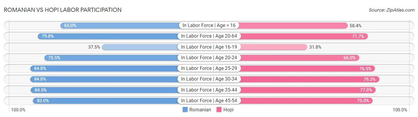 Romanian vs Hopi Labor Participation