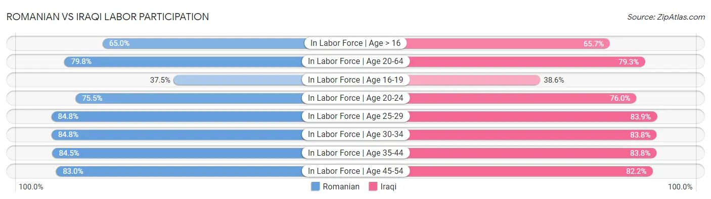 Romanian vs Iraqi Labor Participation