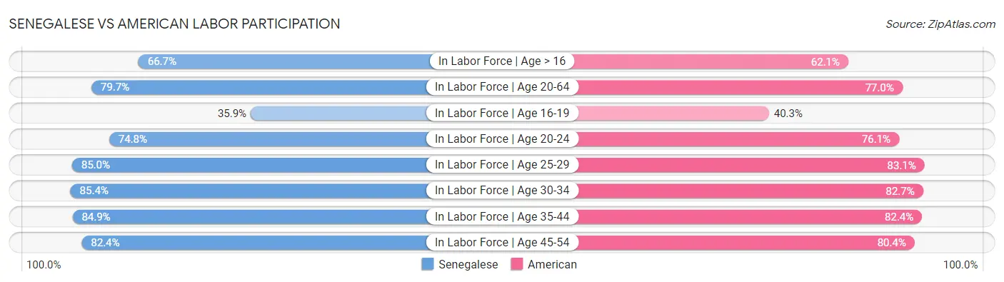 Senegalese vs American Labor Participation