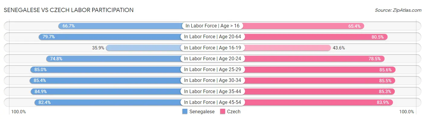 Senegalese vs Czech Labor Participation