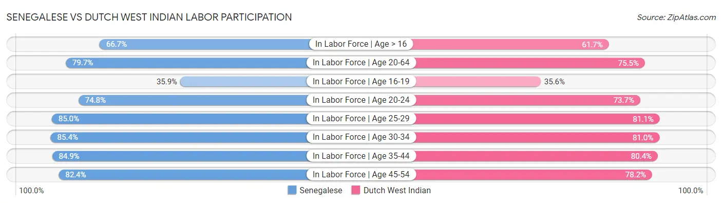Senegalese vs Dutch West Indian Labor Participation