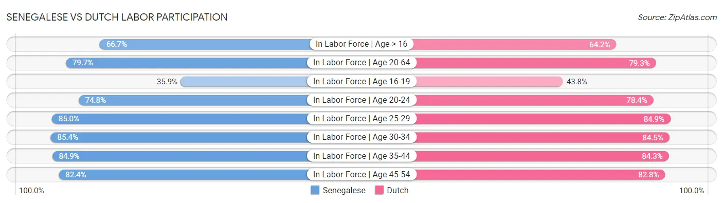 Senegalese vs Dutch Labor Participation