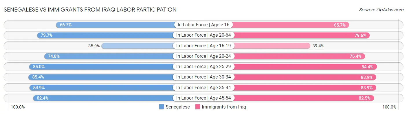 Senegalese vs Immigrants from Iraq Labor Participation
