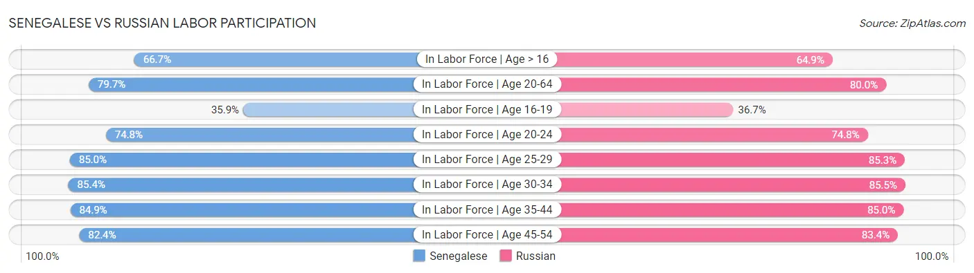 Senegalese vs Russian Labor Participation